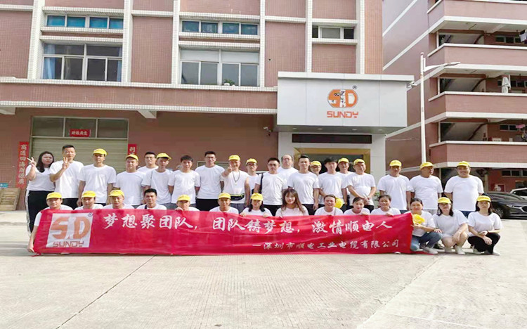 “夢想聚團隊，團隊鑄夢想”順電2021年旅游圓滿結(jié)束